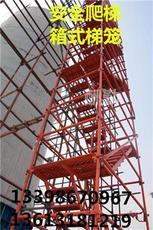 專(zhuān)業(yè)施工安全爬梯產(chǎn)品展示